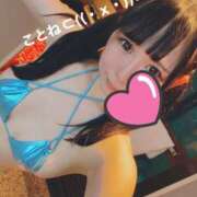 ヒメ日記 2026/04/13 17:05 投稿 コトネ バニーコレクション千葉栄町店