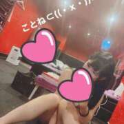 ヒメ日記 2026/04/19 07:04 投稿 コトネ バニーコレクション千葉栄町店