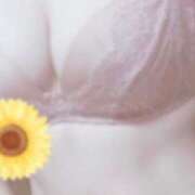 ヒメ日記 2026/03/25 11:56 投稿 ふうか VIVIDCREW 梅田堂山店