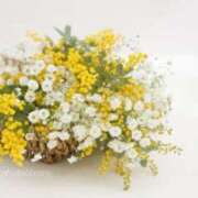 ヒメ日記 2026/03/20 14:26 投稿 中本 麗子 こあくまな熟女たち 宇部店(KOAKUMAグループ)