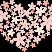 ゆりこ C-PLUSのお兄さん♡♡ モアグループ熊谷人妻花壇