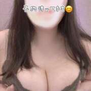ヒメ日記 2026/04/02 05:00 投稿 まお 奴隷コレクション