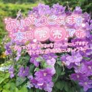 ヒメ日記 2026/04/01 13:45 投稿 しょうこ 大宮人妻デリヘル～大人の事情～