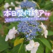 ヒメ日記 2026/04/24 18:25 投稿 しょうこ 大宮人妻デリヘル～大人の事情～