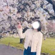 ヒメ日記 2026/04/06 14:38 投稿 まき 京都BOOK MARK（ブックマーク）