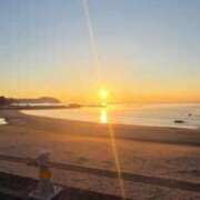 ねね 次回出勤日🌼 ギン妻パラダイス 堺東店