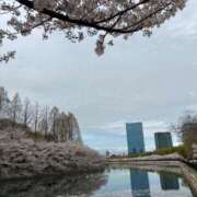 ねね こんにちは🌸 ギン妻パラダイス 堺東店