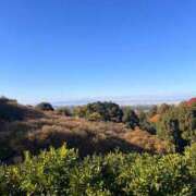 ねね ねね ギン妻パラダイス 堺東店