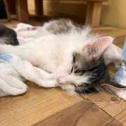 ヒメ日記 2026/04/14 18:18 投稿 ねね ギン妻パラダイス 堺東店