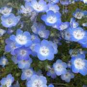 ヒメ日記 2026/04/23 06:54 投稿 ねね ギン妻パラダイス 堺東店
