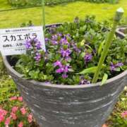ヒメ日記 2026/06/18 05:58 投稿 ねね ギン妻パラダイス 堺東店