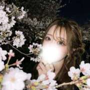 ヒメ日記 2026/04/07 16:01 投稿 あいか Venti大阪