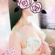 ヒメ日記 2026/03/17 09:46 投稿 芽花(めいか) 人妻出逢い会 百合の園 新宿店