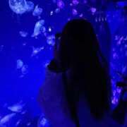 ヒメ日記 2026/06/19 21:14 投稿 あかり i-doll（あいどーる）