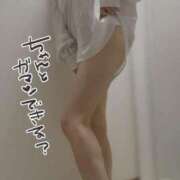 ヒメ日記 2026/03/18 20:50 投稿 内野れんか 月の真珠-五反田-