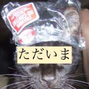 ヒメ日記 2026/03/17 12:33 投稿 しずく TALENT（タレント）