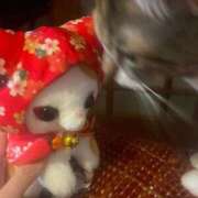 ヒメ日記 2026/04/01 18:21 投稿 しずく TALENT（タレント）