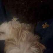 ヒメ日記 2026/04/04 15:13 投稿 しずく TALENT（タレント）