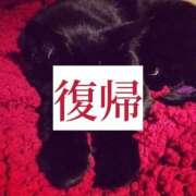 ヒメ日記 2026/04/21 15:11 投稿 しずく TALENT（タレント）