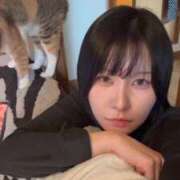 しずく ねこ TALENT（タレント）