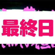 ヒメ日記 2026/10/16 15:22 投稿 しずく TALENT（タレント）