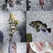 ヒメ日記 2026/05/12 18:48 投稿 体験　れな 素敵な女の子は好きですか？