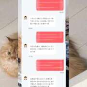 ヒメ日記 2026/05/24 23:18 投稿 体験　れな 素敵な女の子は好きですか？