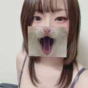 ヒメ日記 2026/03/20 20:07 投稿 ふゆ ちょこMOCA