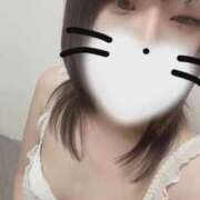 ヒメ日記 2026/03/21 19:17 投稿 ふゆ ちょこMOCA