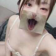 ヒメ日記 2026/03/22 22:08 投稿 ふゆ ちょこMOCA