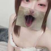 ヒメ日記 2026/03/23 18:17 投稿 ふゆ ちょこMOCA