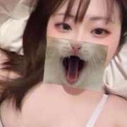 ヒメ日記 2026/05/01 19:47 投稿 ふゆ ちょこMOCA