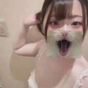 ヒメ日記 2026/05/04 22:17 投稿 ふゆ ちょこMOCA