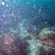 ヒメ日記 2026/04/05 09:01 投稿 ユイ COCOMERO（ココメロ）