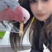 恵美璃（えみり） いらま♡お 人妻の蜜