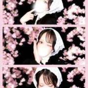 ヒメ日記 2026/03/28 20:12 投稿 Rizu(りず) 佐賀デリヘル358