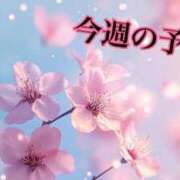 ヒメ日記 2026/04/27 06:48 投稿 茉理奈-マリナ- お姉さんセレブR38