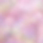 ヒメ日記 2026/04/21 13:56 投稿 ゆに ビアガーデンカーニバル