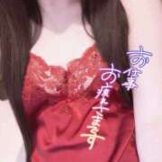 ヒメ日記 2026/04/14 20:50 投稿 さくら ぐっすり山田　池袋店