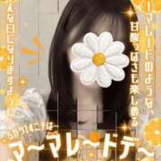 ヒメ日記 2026/05/14 08:46 投稿 さくら ぐっすり山田　池袋店