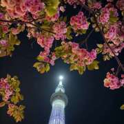 ヒメ日記 2026/04/24 15:06 投稿 ゆいね ハピネス東京 吉原店