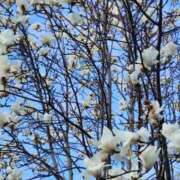 寺岡 おはよ 西川口デッドボール