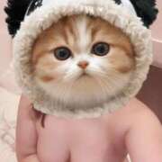 ヒメ日記 2026/04/06 16:26 投稿 かえで(新人割6/24まで) ニュー不夜城