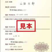 ヒメ日記 2026/04/06 22:42 投稿 凛【Rin】 折り紙 ORIGAMI