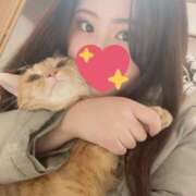 ヒメ日記 2026/04/02 10:15 投稿 なずな ちゃんこ本厚木店