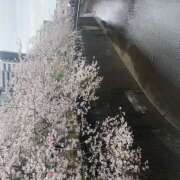 ヒメ日記 2026/04/07 22:09 投稿 岩本 AROMA VENUS