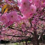 ヒメ日記 2026/04/04 20:32 投稿 もか SOAPLAND LOVE FACTORY