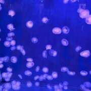 ヒメ日記 2026/04/04 23:32 投稿 もか SOAPLAND LOVE FACTORY