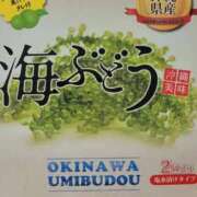 ヒメ日記 2026/04/09 19:32 投稿 もか SOAPLAND LOVE FACTORY