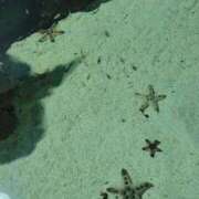 ヒメ日記 2026/04/12 00:02 投稿 もか SOAPLAND LOVE FACTORY